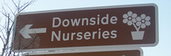 Downside Nursery Sign