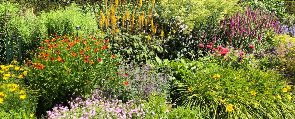 Plant Nursery Bradford on Avon, Wilts. Unrivalled choice of ...