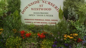 Downside Nurseries Welcome