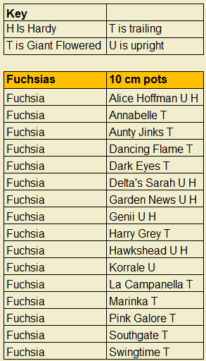 Downside Nurseries Plant List 2023 - Fuchsia in 10cm pots