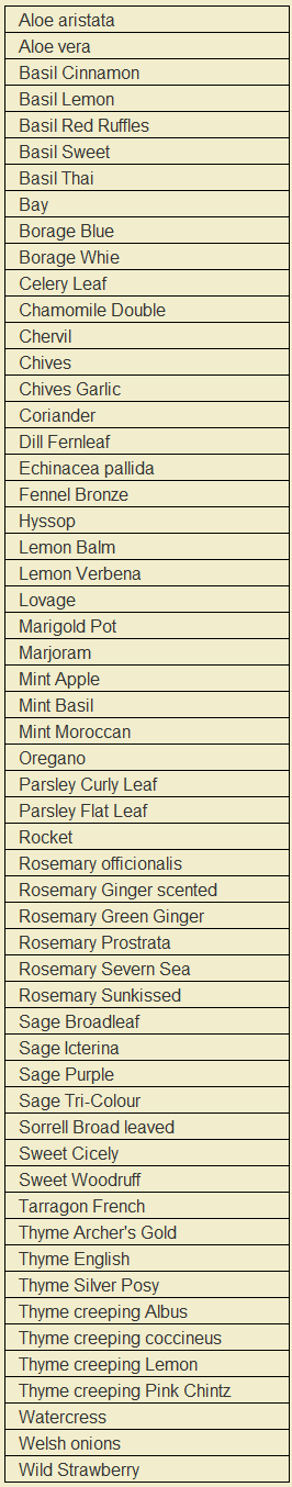 Downside Nurseries Plant List 2023 - Herbs
