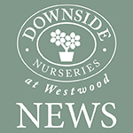 Downside Nurseries News 2024