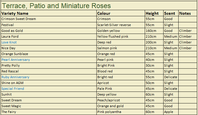 Downside Nurseries 2023 Plant List. Roses - Terrace, Patio and Miniature Roses