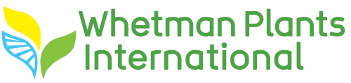 Whetman Plants Logo
