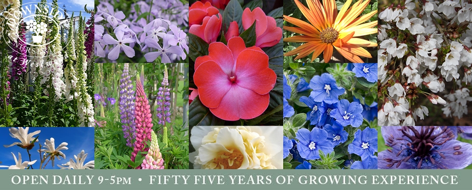 Summer planting season is fast approaching with our May Banner