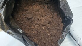 compost bag open